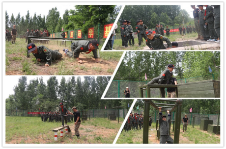 微信图片_20260320131148_135_3